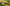Gel Blaster vs Airsoft vs Paintball: Which One Is Right for You? - OZYMP Gear Lab