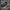 Ring Pistol