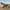 DDM4 PDW – Electric Gel Blaster Rifle - OZYMP Gear Lab
