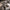 HK416D – Electric Gel Blaster Rifle - OZYMP Gear Lab