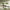 HK416D – Electric Gel Blaster Rifle - OZYMP Gear Lab