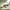 HK416D – Electric Gel Blaster Rifle - OZYMP Gear Lab
