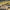 M4 CQB – Electric Gel Blaster Rifle - OZYMP Gear Lab