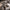 HK416D – Electric Gel Blaster Rifle