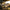 TTI TR1 – Electric Gel Blaster Rifle - OZYMP Gear Lab