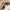 TTI G34 – Electric Toy Pistol
